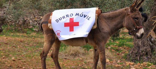 Big data sanitario: superando el burro-móvil
